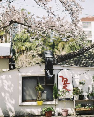 Çin şehrinin güzel manzarası