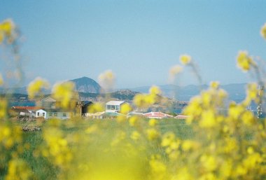 Güzel deniz manzarası