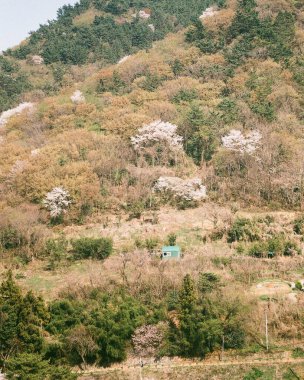 Parkın güzel manzarası