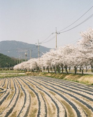 Doğanın güzel manzarası
