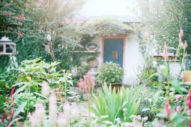 Bahçedeki güzel çiçekler