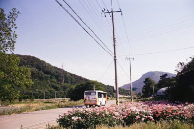 Sabahları parkın manzarası.