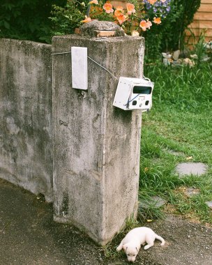 Şehirde terk edilmiş eski bir ev.