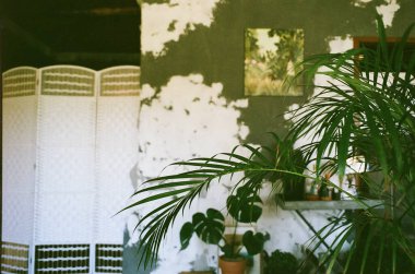 Modern bir apartmanın içinde.