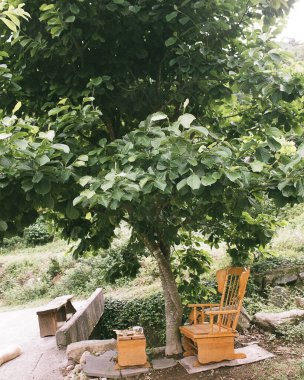 Parkın güzel manzarası