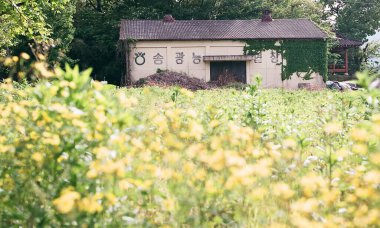 Ön planda yeşil bir bitki olan küçük tahta bir evin dikey görüntüsü.