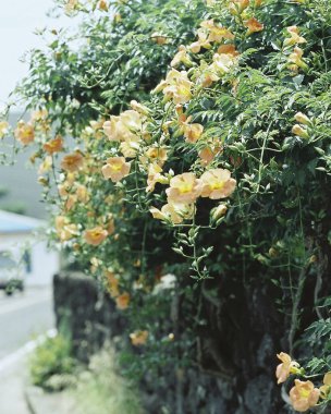 Barselona şehrinin manzarası