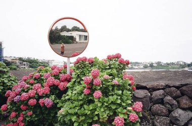 Yeni Zelanda adasının güzel manzarası.
