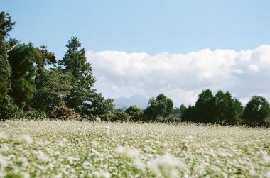 Dağların güzel manzarası