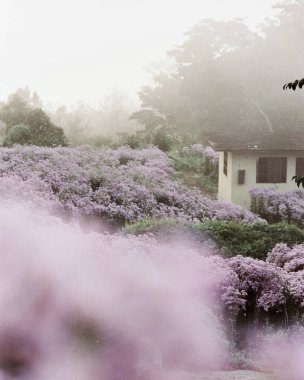 Şehir parkının güzel manzarası