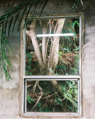 Şehirde terk edilmiş eski bir ev.