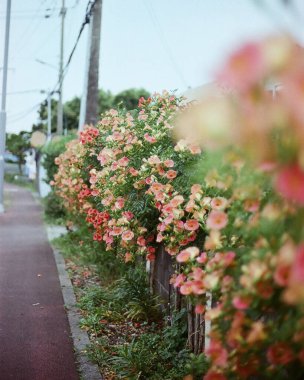 Barselona şehrinin manzarası