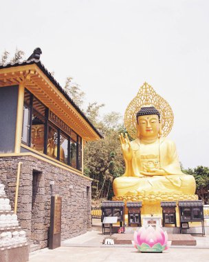 Bangkok Tayland 'daki Wat Po Tapınağı' nda Buda heykeli.