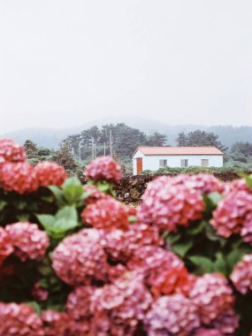 Göllü güzel bir manzara.