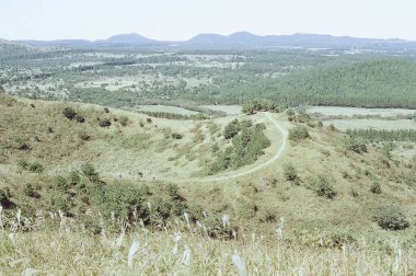 Dağlarda yeşil çimenler ve ağaçlar