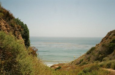 Ağacı ve dağı olan güzel bir manzara.