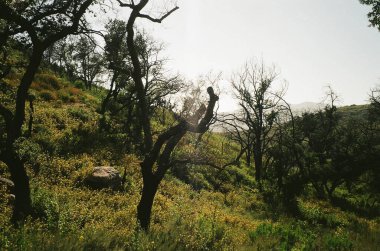 Dağların güzel manzarası
