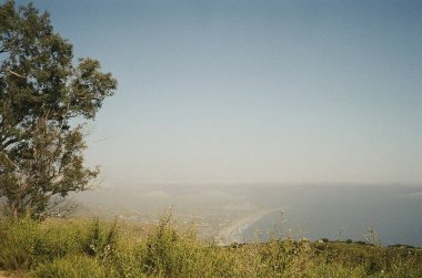 Ağacı ve dağı olan güzel bir manzara.