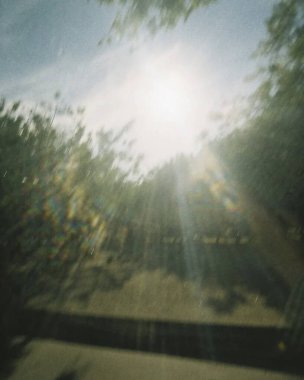 Sabah ormanın güzel manzarası