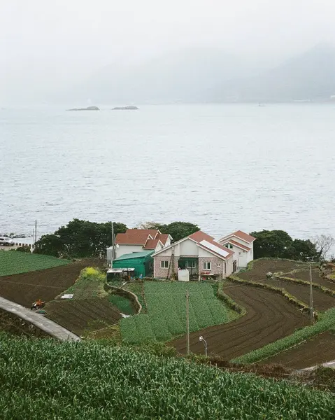 Sabahları en kirli şehirlerin adasının manzarası.