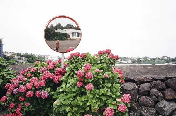 Yeni Zelanda adasının güzel manzarası.