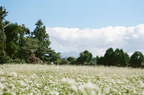 Dağların güzel manzarası