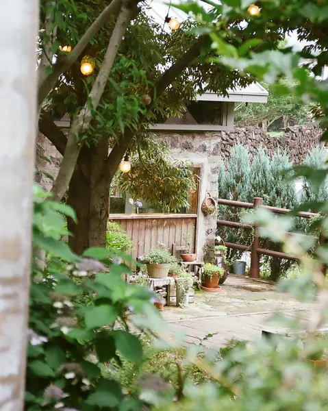 Beyaz sarayı olan güzel bir bahçe.