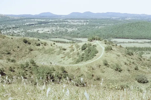 Dağlarda yeşil çimenler ve ağaçlar