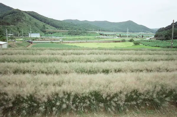 açık hava manzarasının resimsel görüntüsü