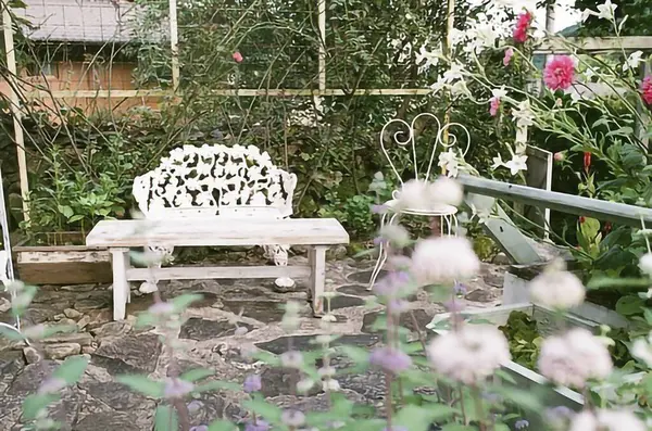 Güzel botanik fotoğrafı, doğal duvar kağıdı.