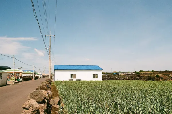 İsrail 'in kuzeyindeki Akdeniz adasının manzarası.