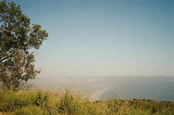 Ağacı ve dağı olan güzel bir manzara.