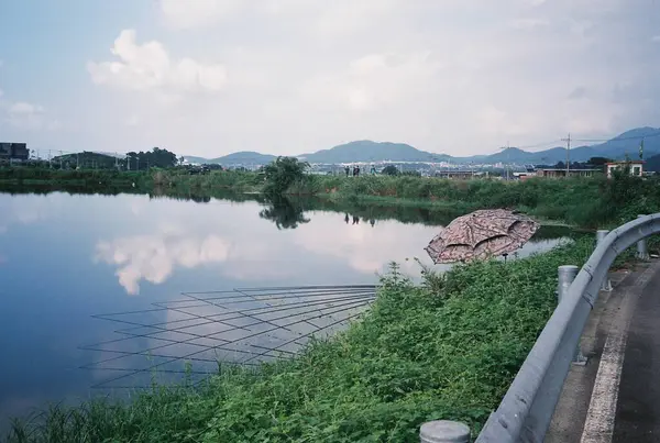 Parktaki nehrin güzel manzarası