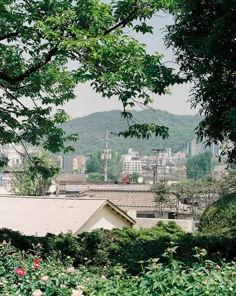 Arka plandaki şehir sokaklarına bak