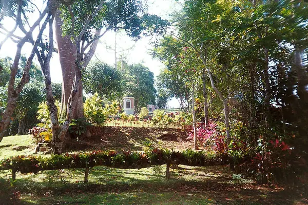 Güzel botanik fotoğrafı, doğal duvar kağıdı.