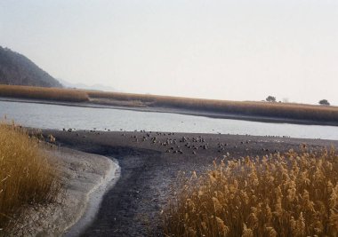 Sabah göl manzarası çok güzel.