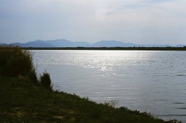 Göllü güzel bir manzara.