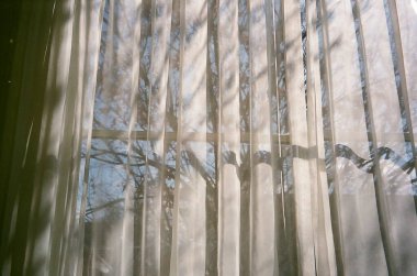 bir bardak su ile pencere