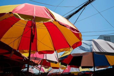 colorful umbrellas in the beach