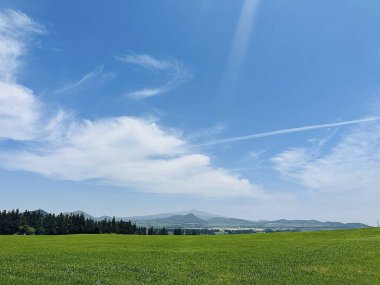 Yeşil çimen ve mavi gökyüzü olan güzel bir manzara.
