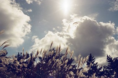 güzel doğanın resimsel manzarası