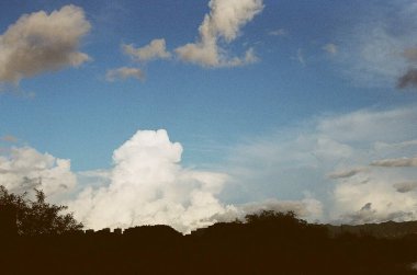 Ağaçlar ve bulutlarla dolu güzel bir manzara.