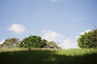açık hava manzarasının resimsel görüntüsü