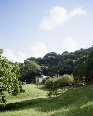 Ağaçlı ve otlu güzel bir manzara.