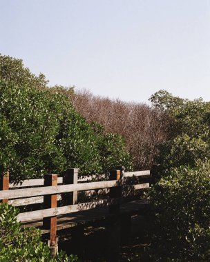 Parkın güzel manzarası