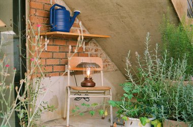 Bahçedeki güzel çiçekler