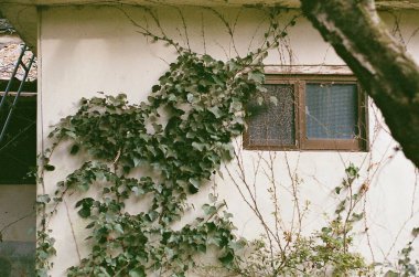 Köydeki evin manzarası