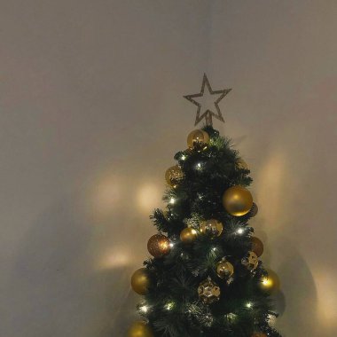 Işıklı ve yıldızlı Noel ağacı