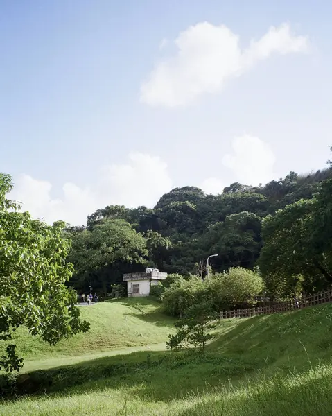 Ağaçlı ve otlu güzel bir manzara.