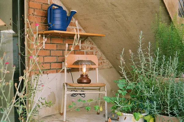 Bahçedeki güzel çiçekler